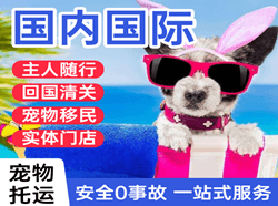 三女河航空快运国际宠物托运 【国